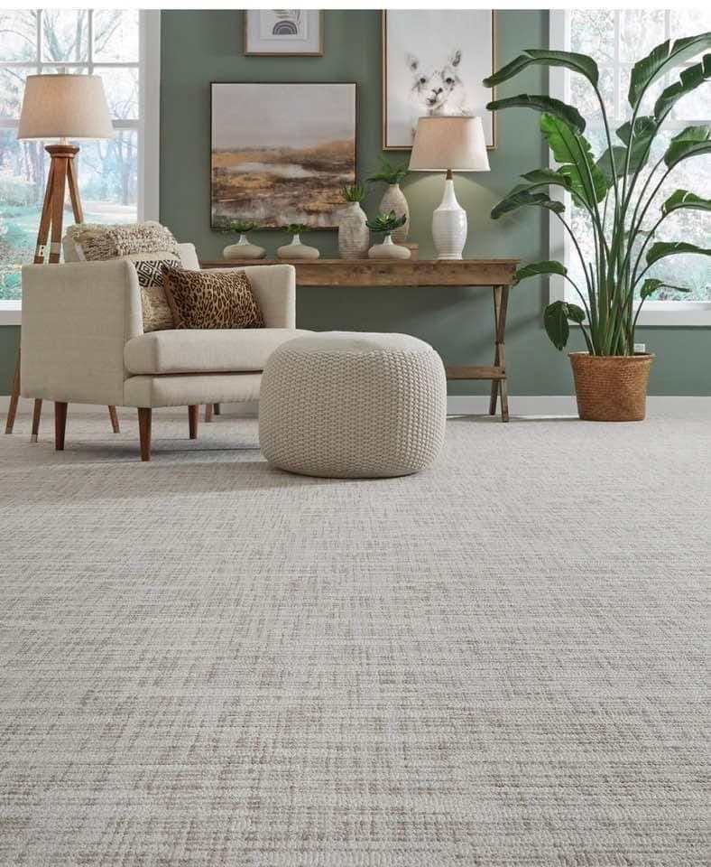Plush textured carpet in a sunlit sitting room